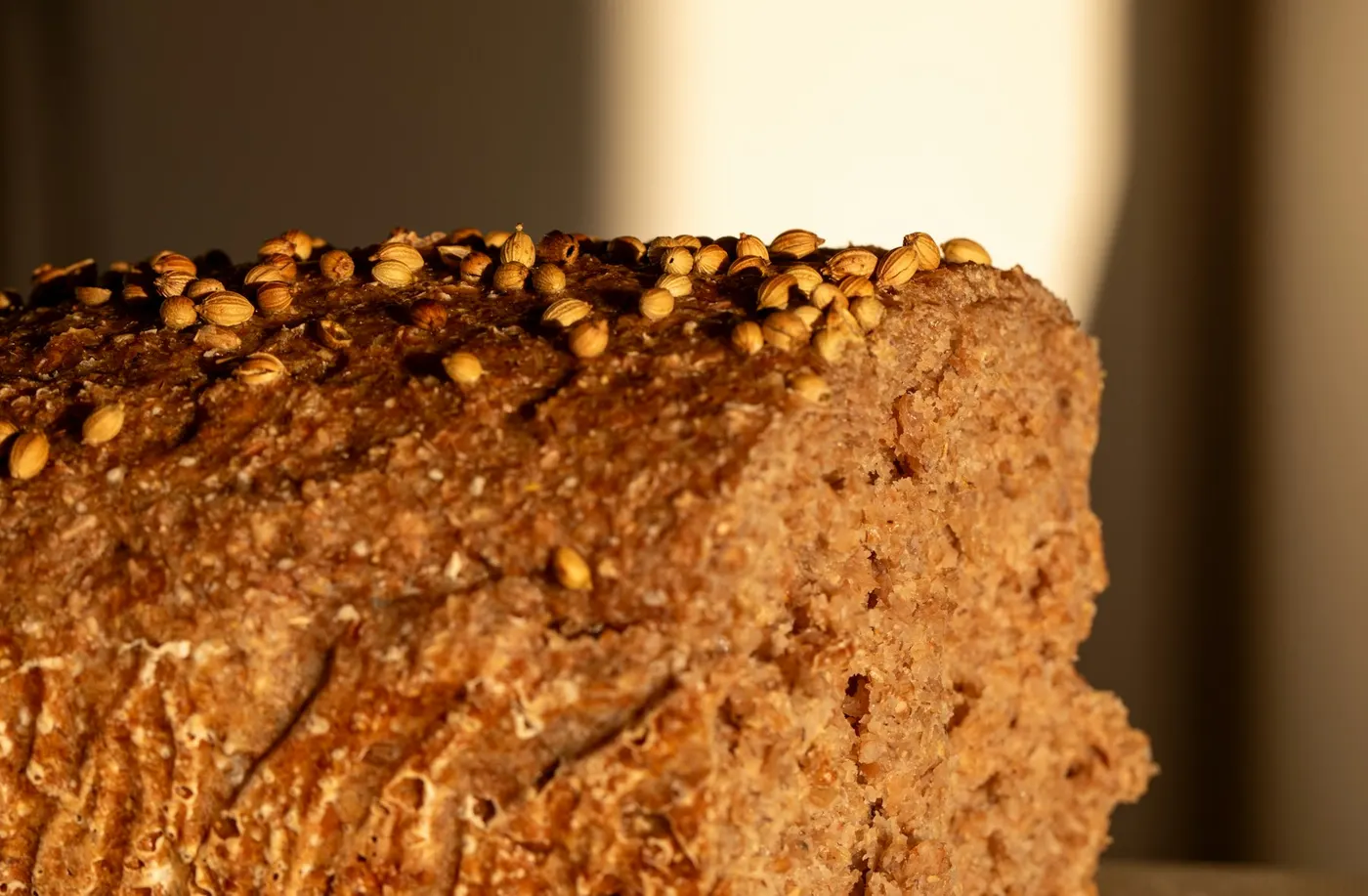Temporary review photograph used with TEST Seeded loaf. Not a production product photo.